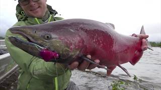 Angeln auf Lachs in Alaska Ein wildes Wasser [upl. by Carri]