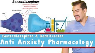 Anti Anxiety Pharmacology Benzodiazepines and Barbiturates [upl. by Ati331]