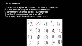 Triploidy vs Trisomy explained [upl. by Ariadne]