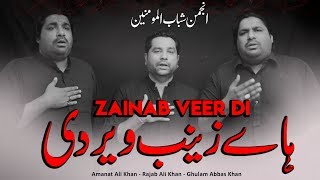 Haye Zainab Veer Di  Sonu Monu Nohay 2020  Nasir Asghar Nohay  ShababulMomineen  BibiZainab Noha [upl. by Aimet]