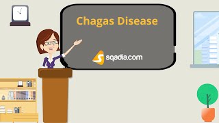 Chagas Disease Life cycle of the parasite human stages [upl. by Sanferd884]