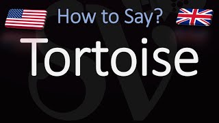 How to Pronounce Tortoise CORRECTLY [upl. by Dazraf]