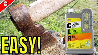 How To Remove Rust EASY  CLR Rust Remover amp restoration [upl. by Markiv]