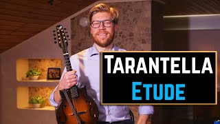 Mandolin Technique for Italian Tarantella  Tutorial [upl. by Mccollum]