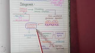 Membranoproliferative Glomerulonephritis  Pathology [upl. by Dazhehs]