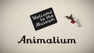 Welcome To The Museum  Animalium [upl. by Safoelc933]