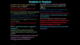 114P Anaplasia vs Dysplasia [upl. by Eoj343]