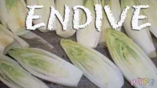 What Is Endive  Braised Endive Recipe [upl. by Annabela724]