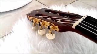 Demo Yamaha G255S II Classical Guitar 1981  1985 [upl. by Yasmine]