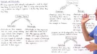 Autotrophs and Heterotrophs [upl. by Allerim]