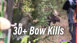 30 Bow Hunts in Under 15 Minutes Eastmans’ Bow Hunting [upl. by Euk]