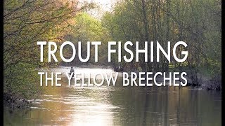 Trout Fishing Pennsylvanias Yellow Breeches [upl. by Darcia]