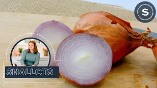 What are Shallots The Difference Between Onion and Shallots [upl. by Lane]