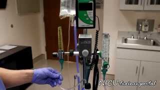 NICU Procedures High Flow Nasal Cannula [upl. by Aniez626]