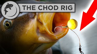 How To Tie A Chod Rig for Carp Fishing [upl. by Aissela]