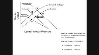 Cardiac amp Vascular Function Curves EXPLAINED [upl. by Amlus]