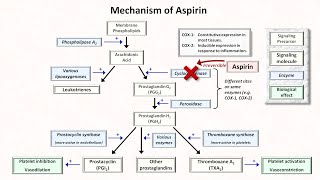 Hemostasis Lesson 5  Antiplatelet Meds Part 1 of 2 [upl. by Philly]