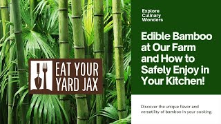 🎋 Explore Culinary Wonders Edible Bamboo at Our Farm and How to Safely Enjoy in Your Kitchen 🍲🌿 [upl. by Ahsinauj]