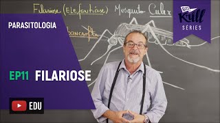 Filariose Parasitologia  EP 11  Biokrill Series [upl. by Kucik]