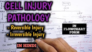 Cell injury pathology in hindi  Mechanisms of cell injury  Apoptosis  Necrosis [upl. by Haslam]