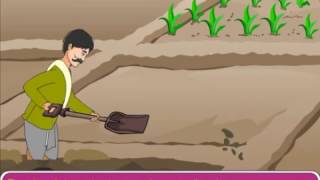 Methods to prevent Soil Erosion [upl. by Anidal]