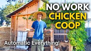 How to Design a Chicken Coop Automatic Food Water Easy to Clean [upl. by Pegma]