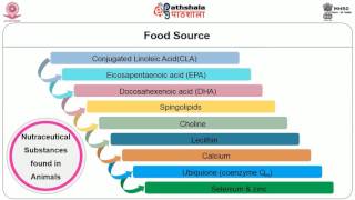 25 High Vitamin K Foods 700 Calorie Meals DiTuro Productions [upl. by Job]