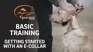 Basic Training  Getting Started with an ECollar [upl. by Htide649]