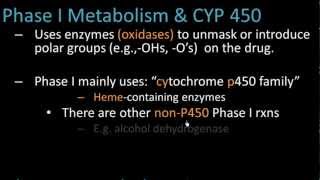 Phase I Metabolism  Pharmacology Lect 7 [upl. by Winnie763]