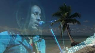 Bob Marley  Turn Your Lights Down Low [upl. by Delmar]