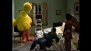 Sesame Street  Big Bird Causes Accidents [upl. by Nilauqcaj]