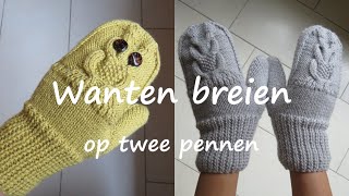 Wanten breien op twee pennen [upl. by Anuait]