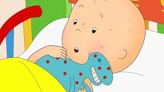 Contagious Caillou  Caillou Cartoon [upl. by Ruomyes]