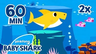 FASTER Baby Shark1 hour  Baby Shark Medley  Baby Shark 1hour  Compilation  Baby Shark Official [upl. by Iclehc]