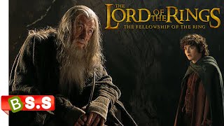 Lord Of The Rings Movie Explained In HindiUrdu  OSCAR WINNING [upl. by Crary]