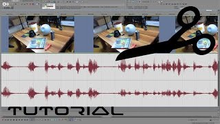 Ton vom Video trennen und mit Audacity bearbeiten  verbessern [upl. by Aneleairam]