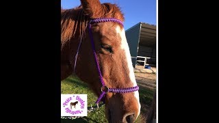 How to make a bitless bridle with paracord [upl. by Nofpets]