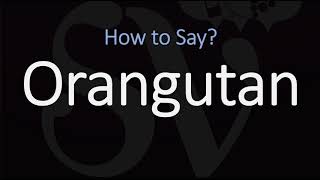 How to Pronounce Orangutan CORRECTLY [upl. by Ina983]