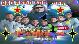 LOS KARKIS MIX [upl. by Anierdna554]