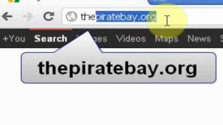 How To Download Torrents From The Pirate Bay [upl. by Nyleda464]