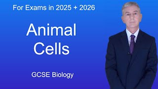 GCSE Biology Revision quotAnimal Cellsquot [upl. by Raybin763]