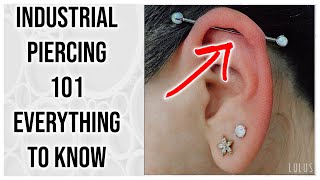 Industrial Piercing 101 Everything You Need To Know [upl. by Mcclenaghan]