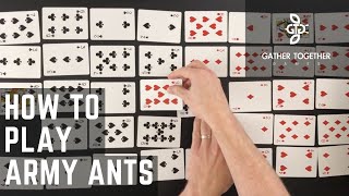 How To Play Army Ants [upl. by Calle255]