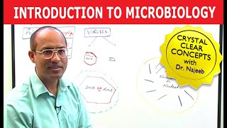 Introduction to Microbiology [upl. by Adekahs]