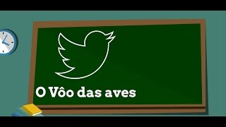 Como as aves voam Ciência Explica [upl. by Ynaitirb]