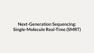 NextGeneration Sequencing SingleMolecule RealTime SMRT Sequencing [upl. by Ahsikyt]