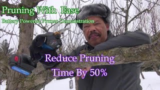 Pruning With Ease  A Battery Powered Pruner Demonstration [upl. by Trix]