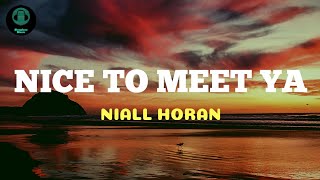 Niall Horan  Nice To Meet You LYRICS [upl. by Yamauchi]