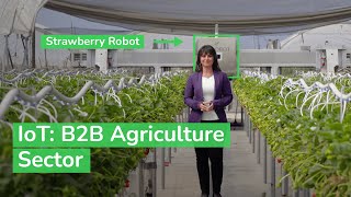 IoT Powering the Digital Economy  The B2B Agriculture Sector  Schneider Electric [upl. by Nath]