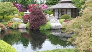 An extraordinary Japanese garden  Un jardin japonais extraordinaire [upl. by Nayr]